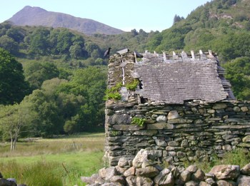 Snowdonia Safaris Photo