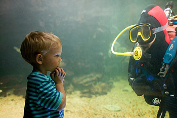 Anglesey Sea Zoo