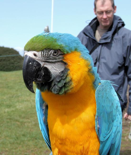 Welsh Mountain Zoo - National Zoo of Wales photo